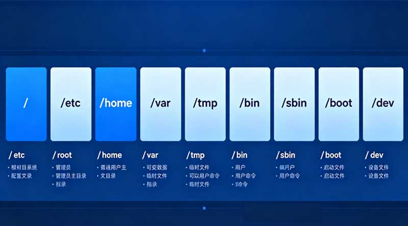Linux 目录结构图解：新手必看的运维避坑与路径指南的图片